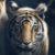 Dynasties izle